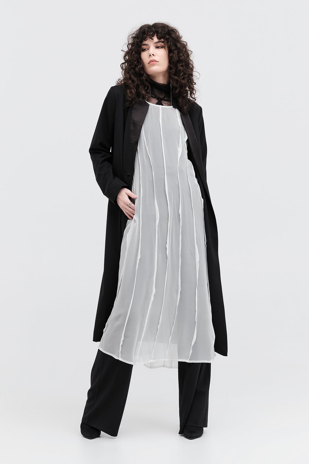 Taylor Diffraction Coat