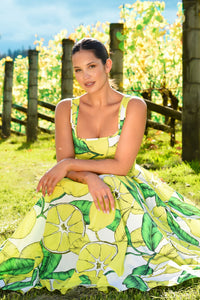 Curate The Great Staycation Dress