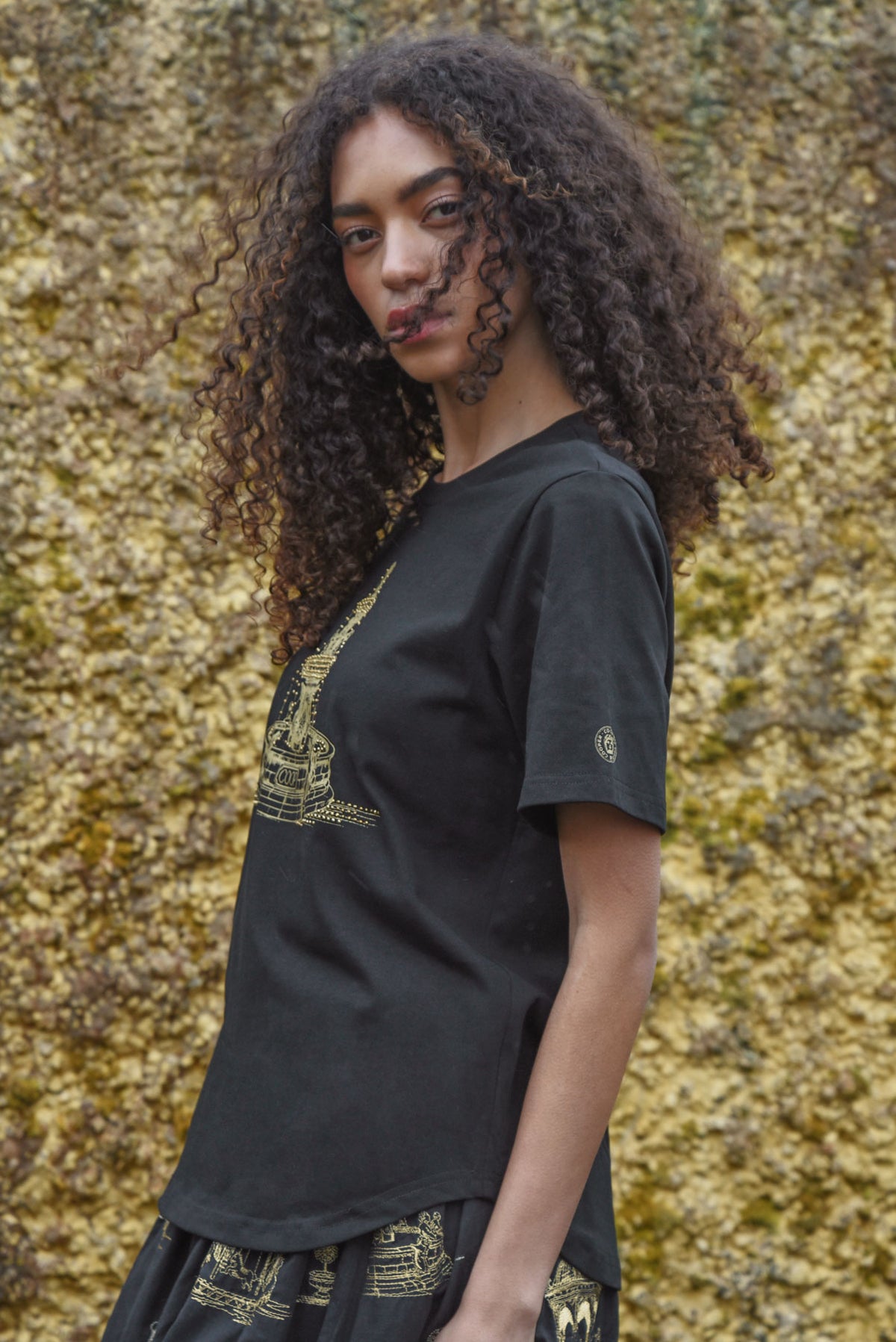 Coop Fountain of Sparkle T-Shirt