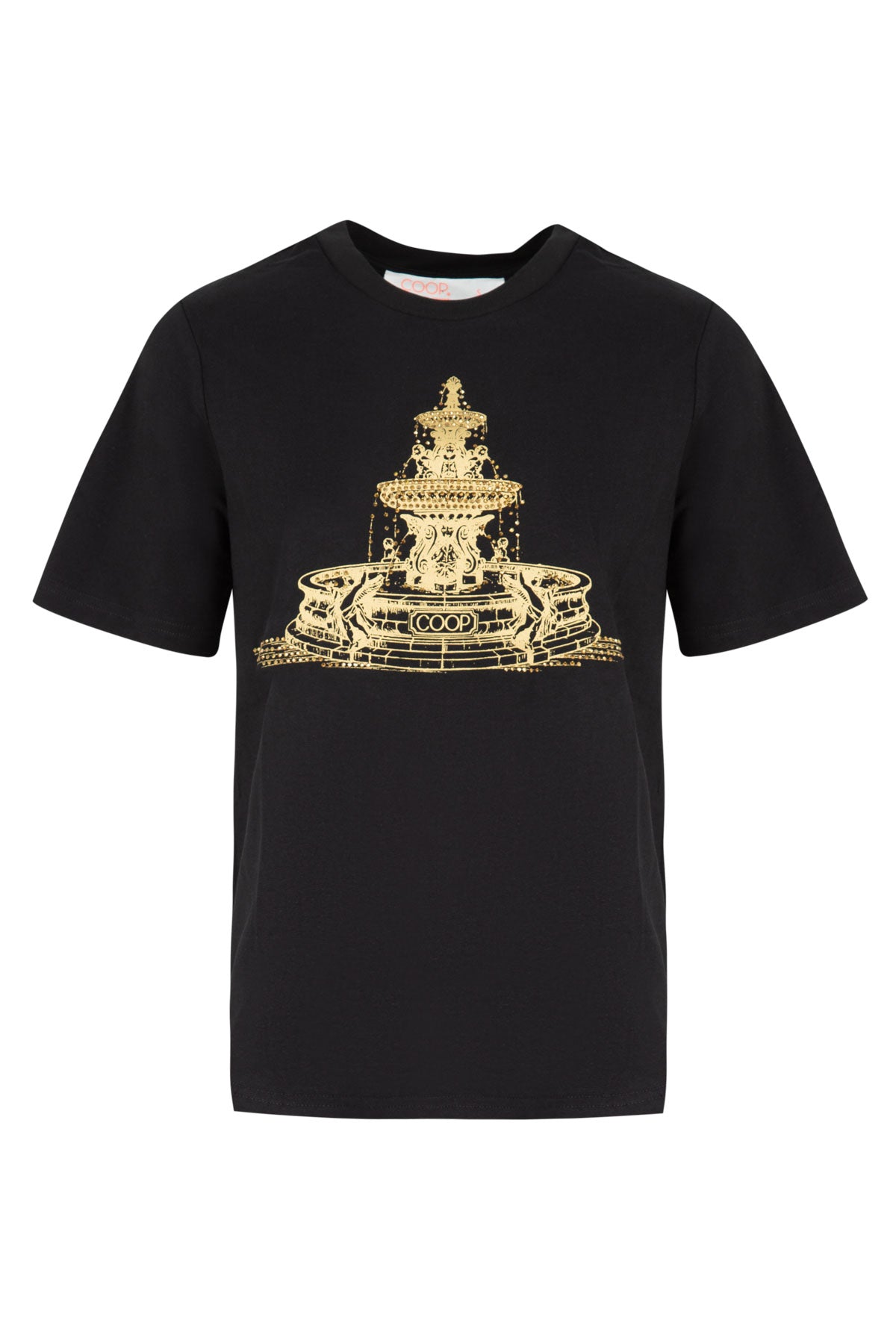 Coop Fountain of Sparkle T-Shirt