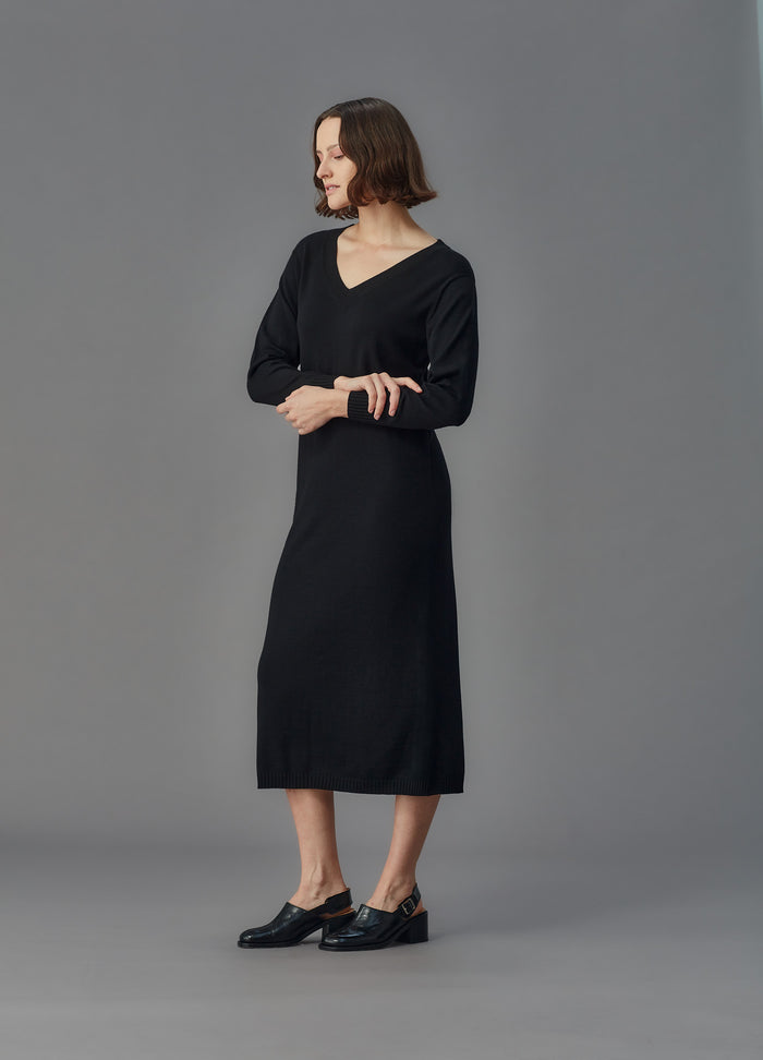 Standard Issue Merino V Neck Dress